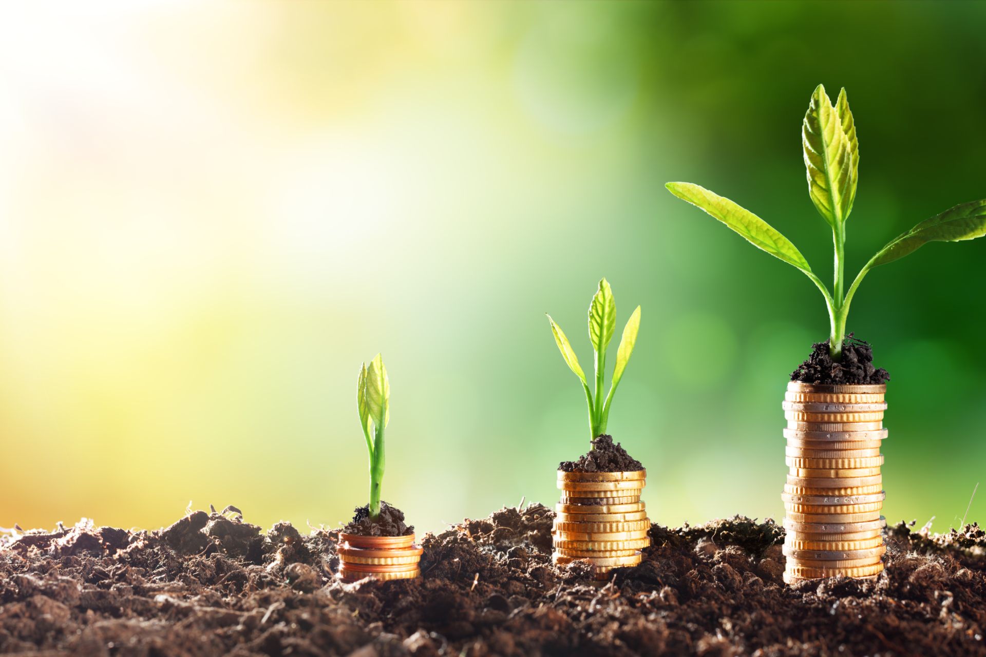 Manifiesto Plantas Medicinales y Homeopatía