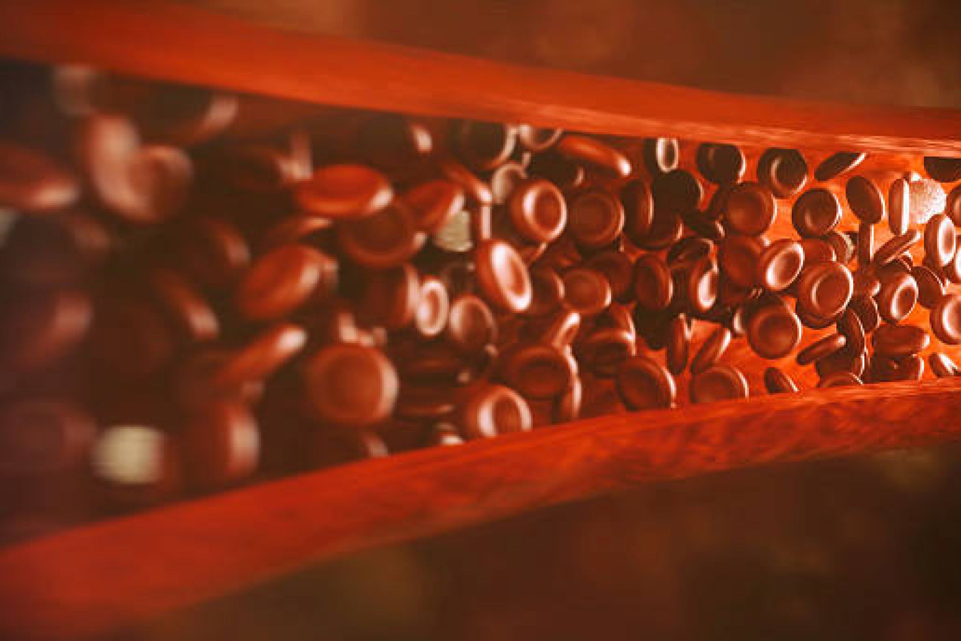 Circulación Sanguínea